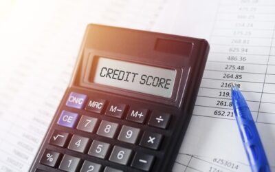 Which of the following most influences your credit score?