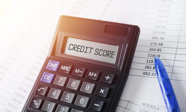 Which of the following most influences your credit score?